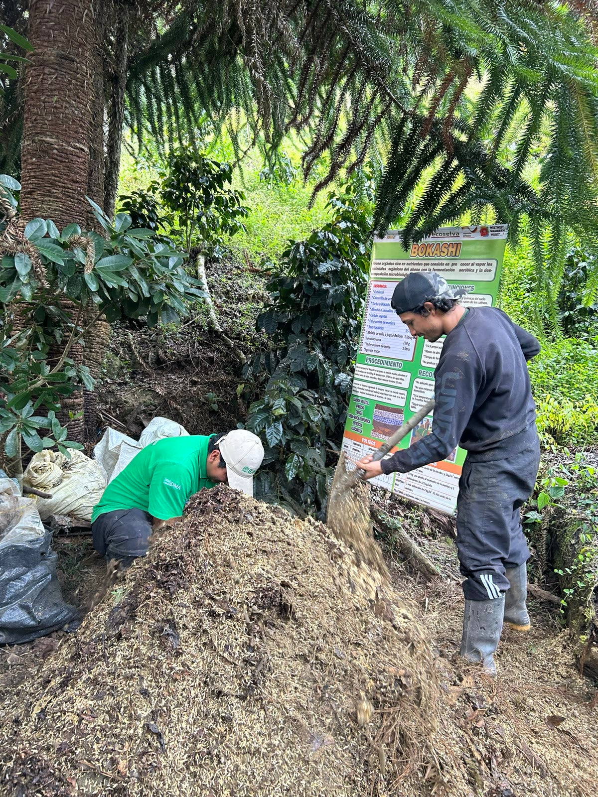 Preparación de abono orgánico en la finca